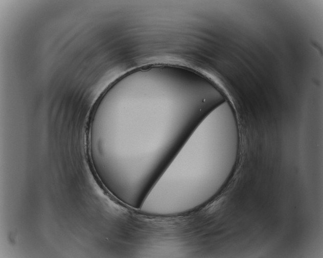 X0000103460999200809121053