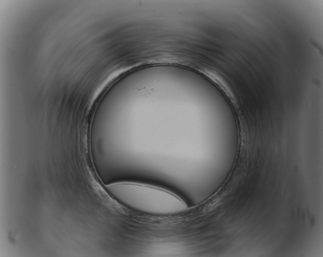 X0000103461000200809121053