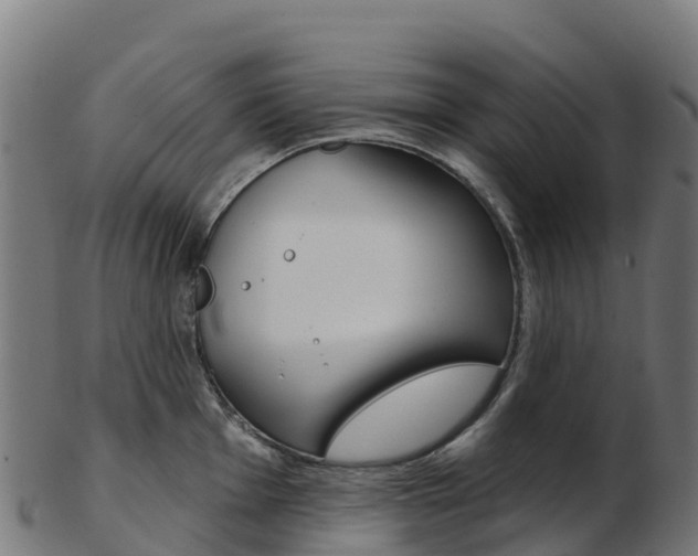 X0000103461001200809121053