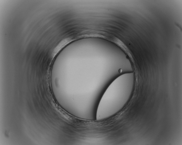 X0000103461002200809121053