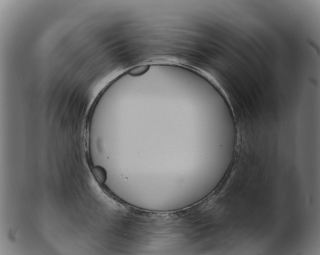 X0000103461003200809121053