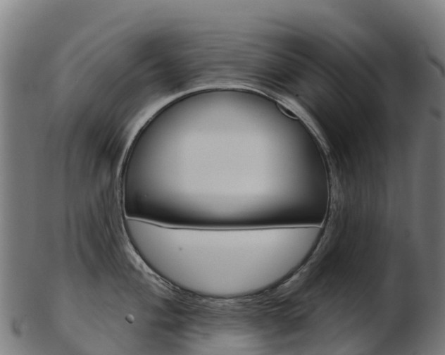 X0000103461004200809121053