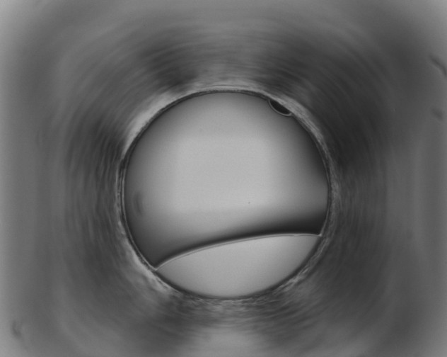 X0000103461006200809121053
