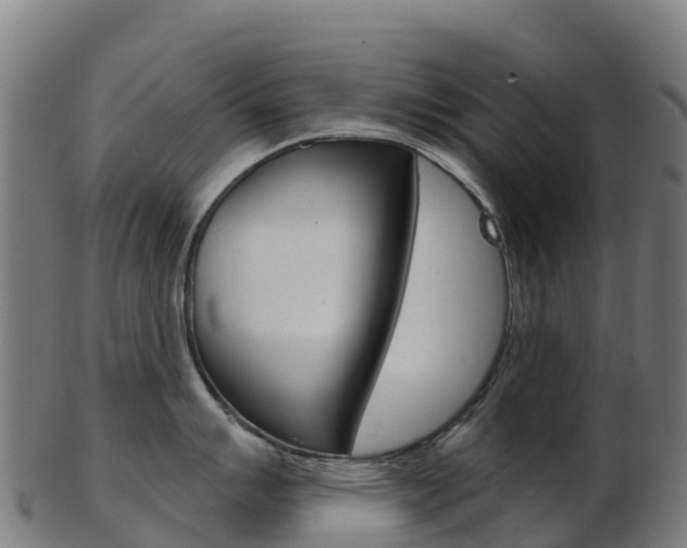 X0000103461007200809121053