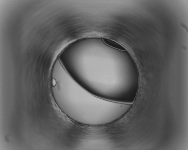 X0000103461008200809121053