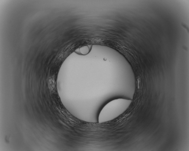 X0000103461011200809121052