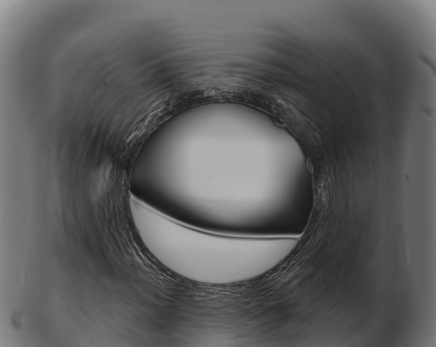 X0000103461012200809121052