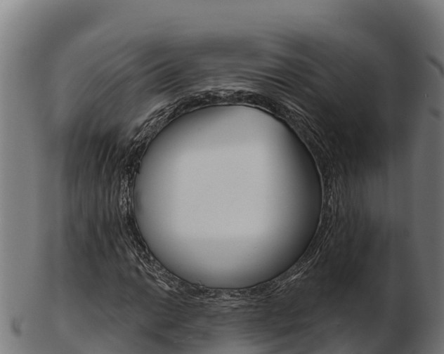 X0000103461014200809121052