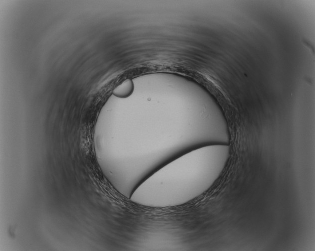 X0000103461015200809121052