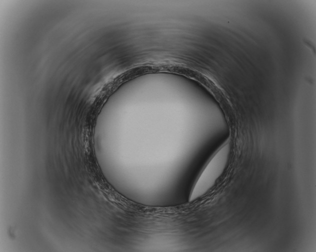X0000103461016200809121052
