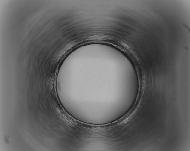 X0000103461017200809121052