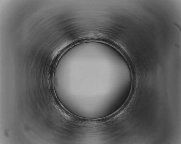 X0000103461018200809121052