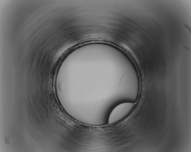 X0000103461019200809121052