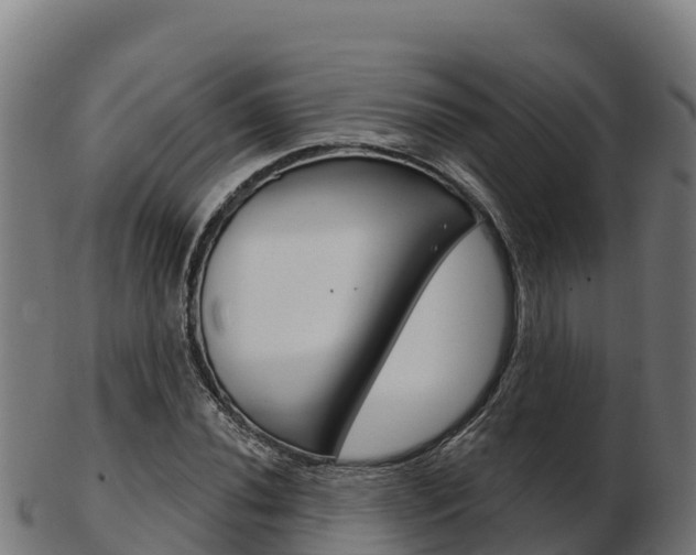 X0000103461020200809121052