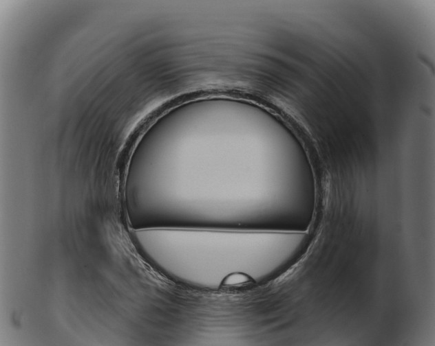 X0000103461021200809121052