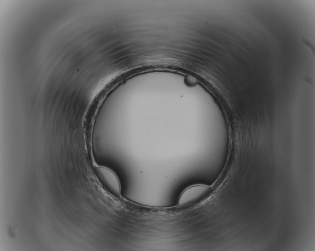 X0000103461022200809121053