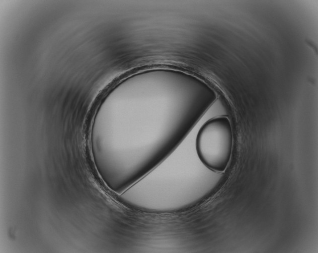 X0000103461024200809121053