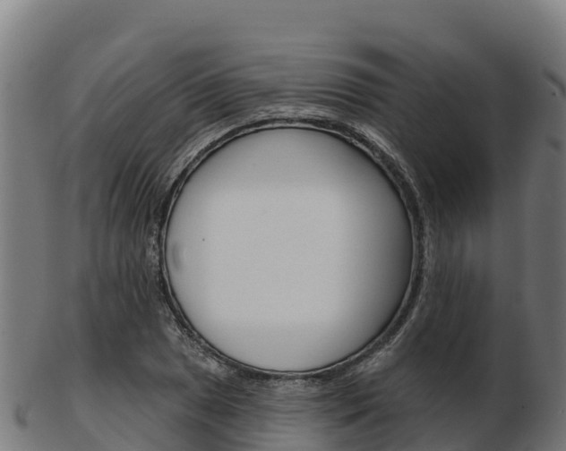 X0000103461025200809121053