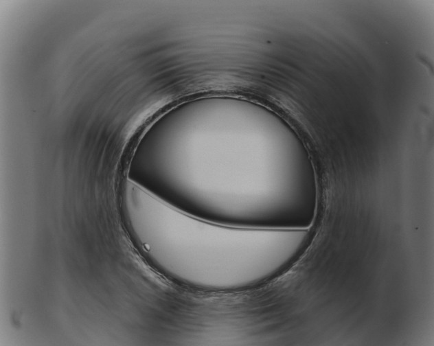 X0000103461026200809121053