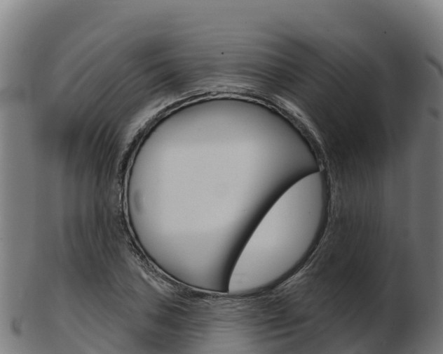 X0000103461027200809121053