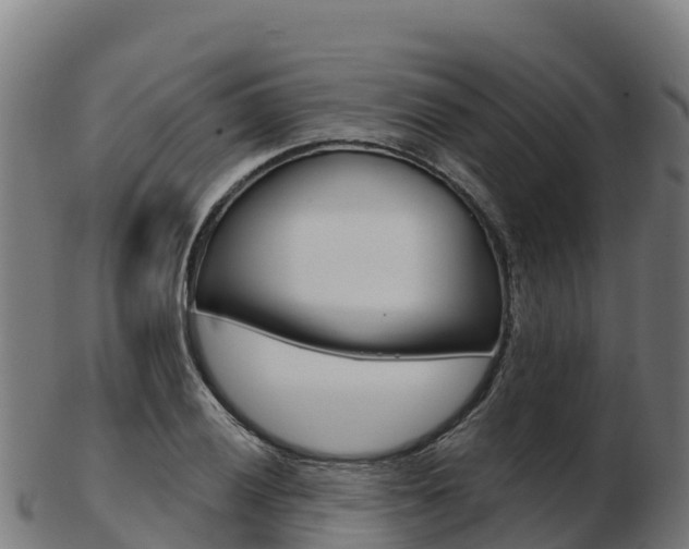 X0000103461028200809121053