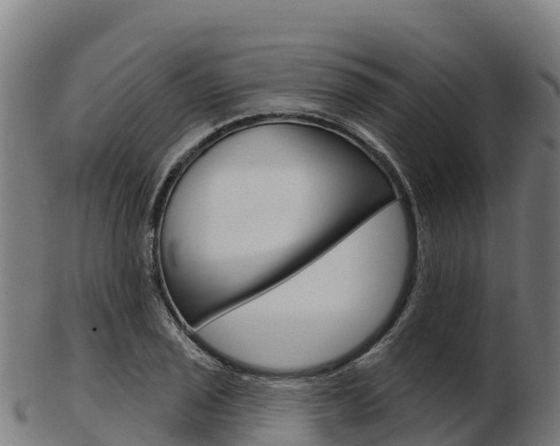 X0000103461029200809121053
