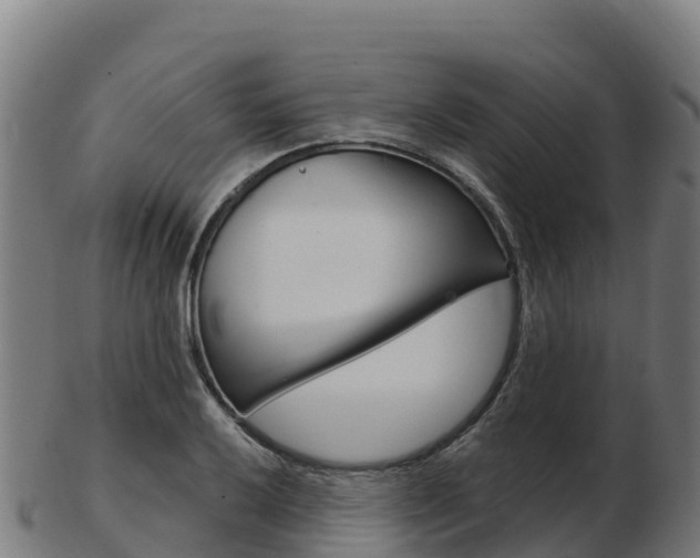 X0000103461032200809121053
