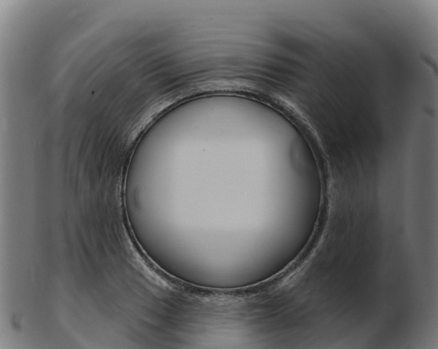 X0000103461033200809121053
