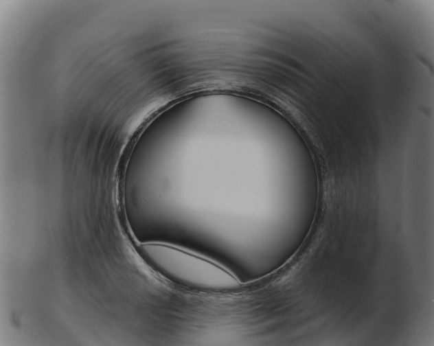 X0000103461034200809121053