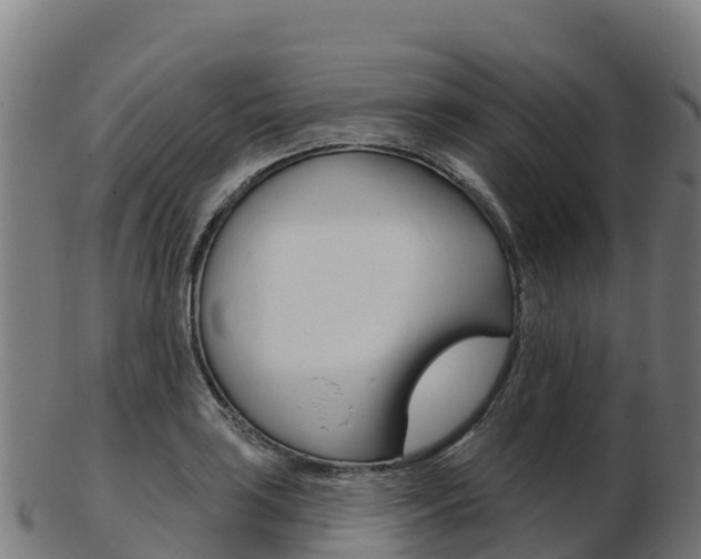 X0000103461035200809121053