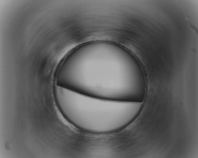 X0000103461038200809121053