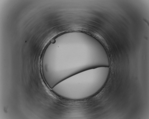 X0000103461039200809121053