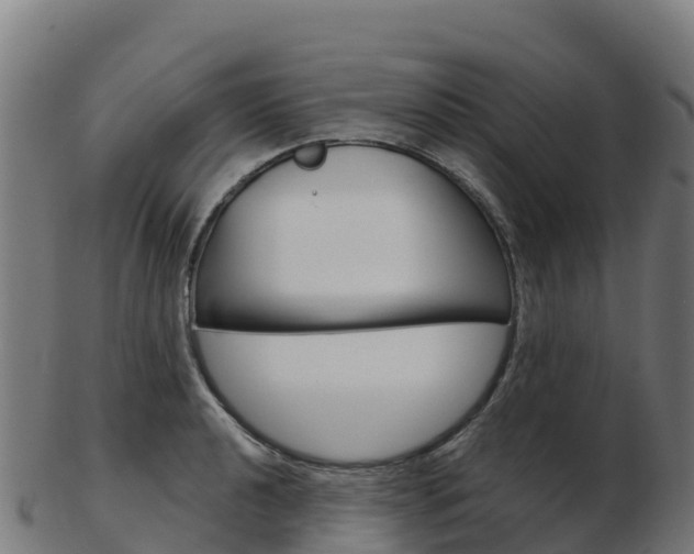 X0000103461040200809121053