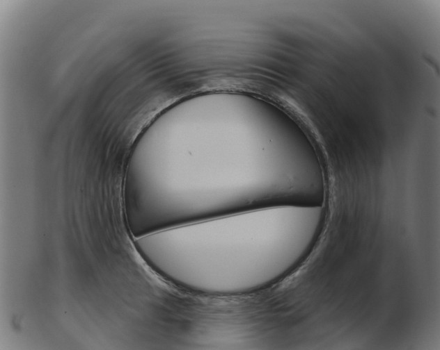 X0000103461041200809121053