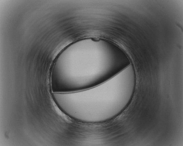 X0000103461042200809121053