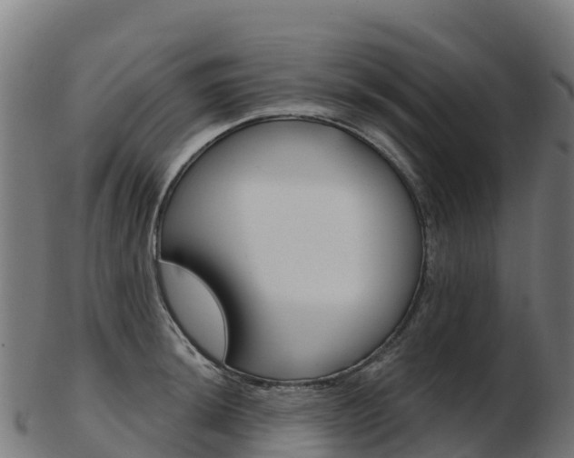 X0000103461044200809121053