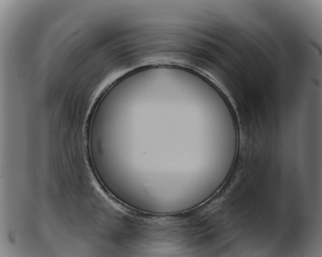 X0000103461045200809121053
