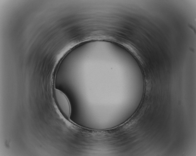 X0000103461046200809121053