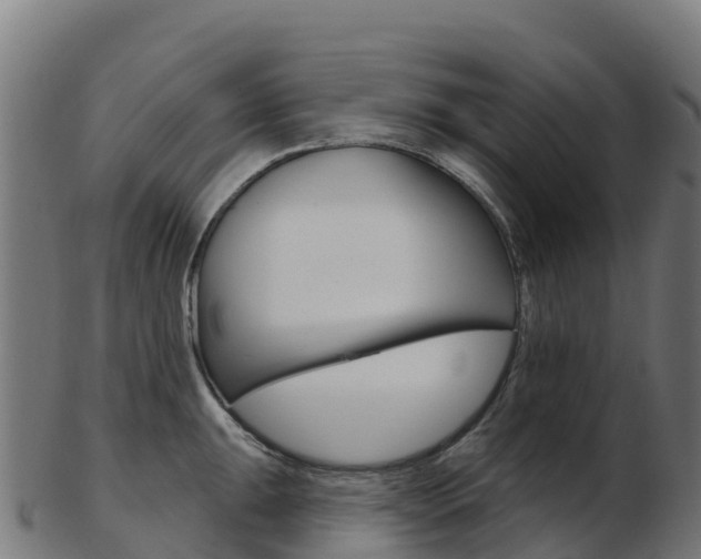 X0000103461047200809121053