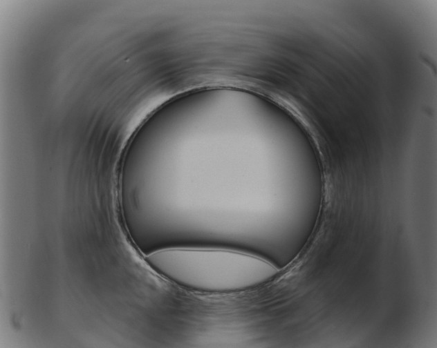 X0000103461048200809121053