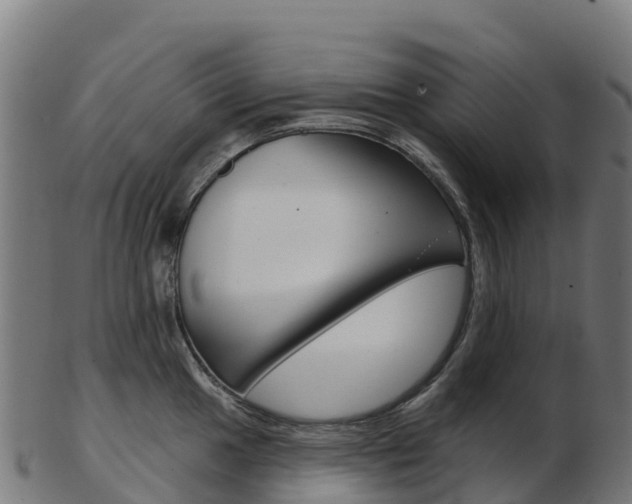X0000103461049200809121053