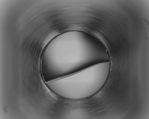 X0000103461050200809121053