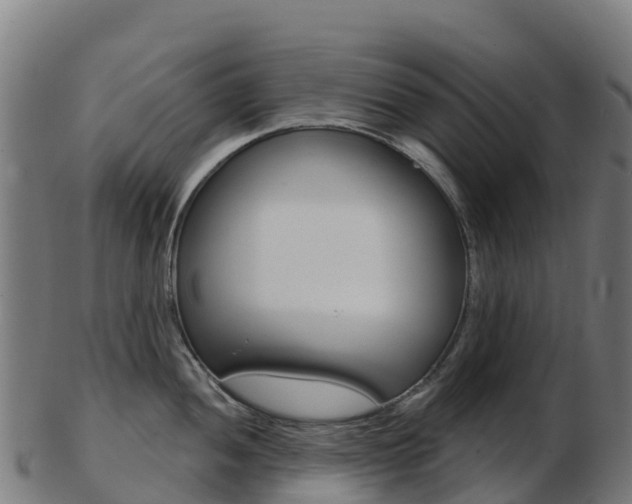 X0000103461052200809121053