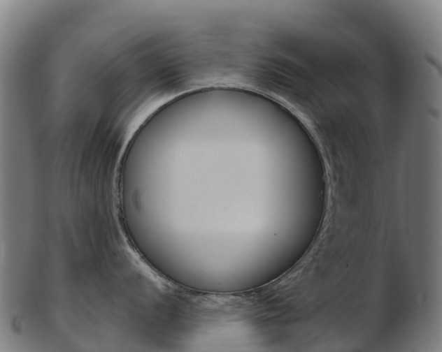 X0000103461056200809121053