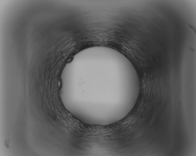 X0000103461057200809121052