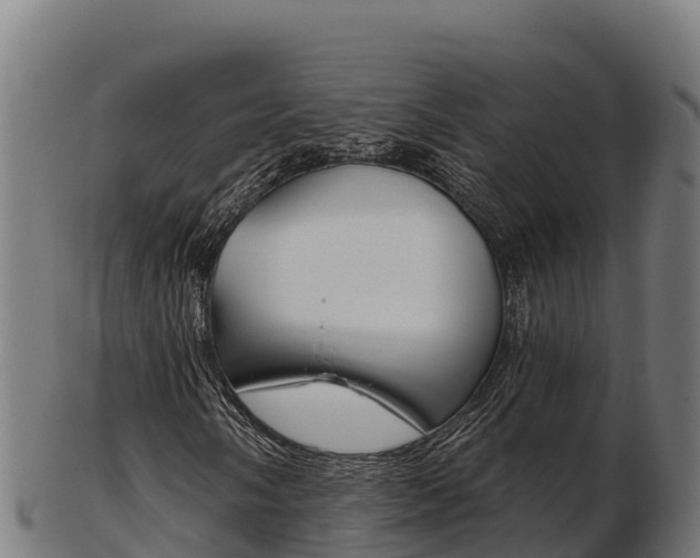 X0000103461058200809121052