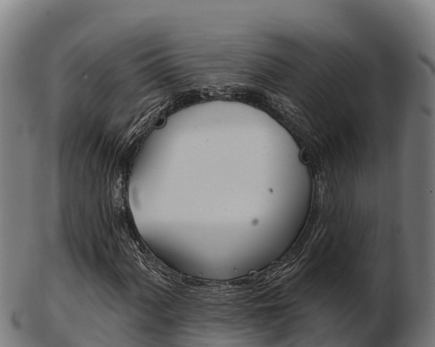 X0000103461060200809121052