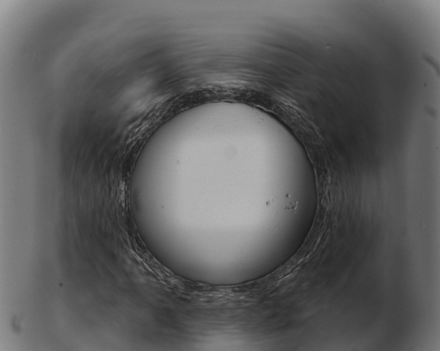 X0000103461061200809121052