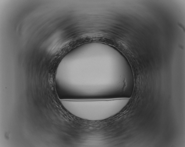 X0000103461062200809121052