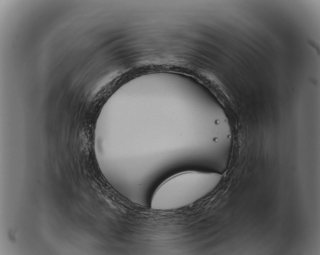X0000103461064200809121052